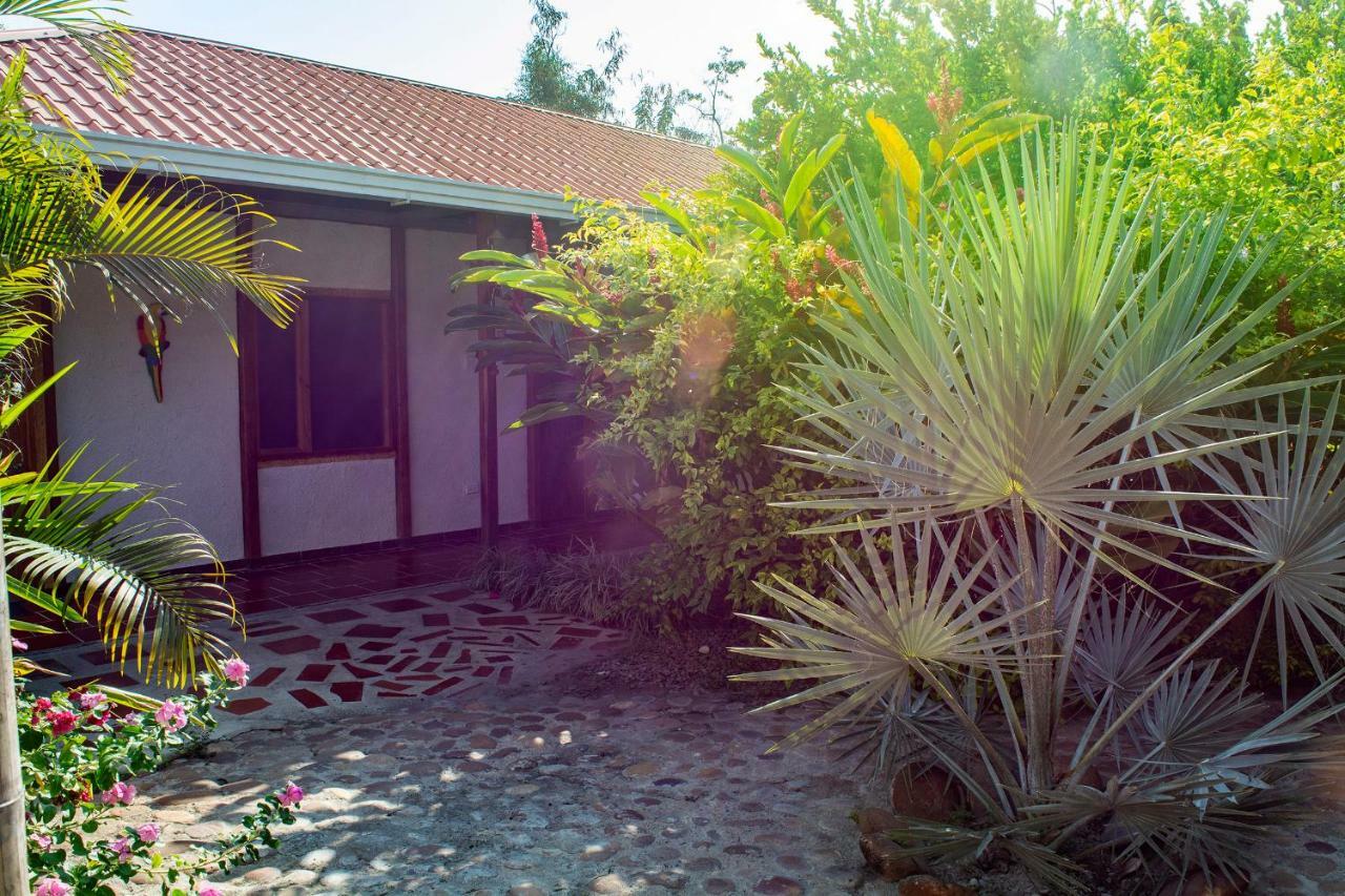 فيلافيجا Hostal El Ruby المظهر الخارجي الصورة